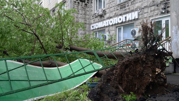 Последствия урагана в Москве - Sputnik Việt Nam
