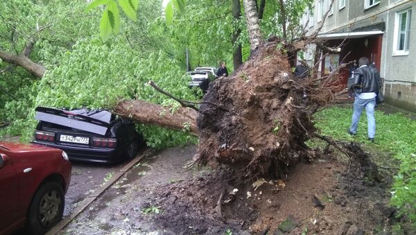 Поваленные ураганом деревья, во дворе жилого дома в Москве - Sputnik Việt Nam