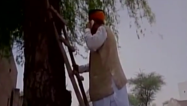 Bộ trưởng Ấn Độ phải leo cây để… gọi điện - Sputnik Việt Nam