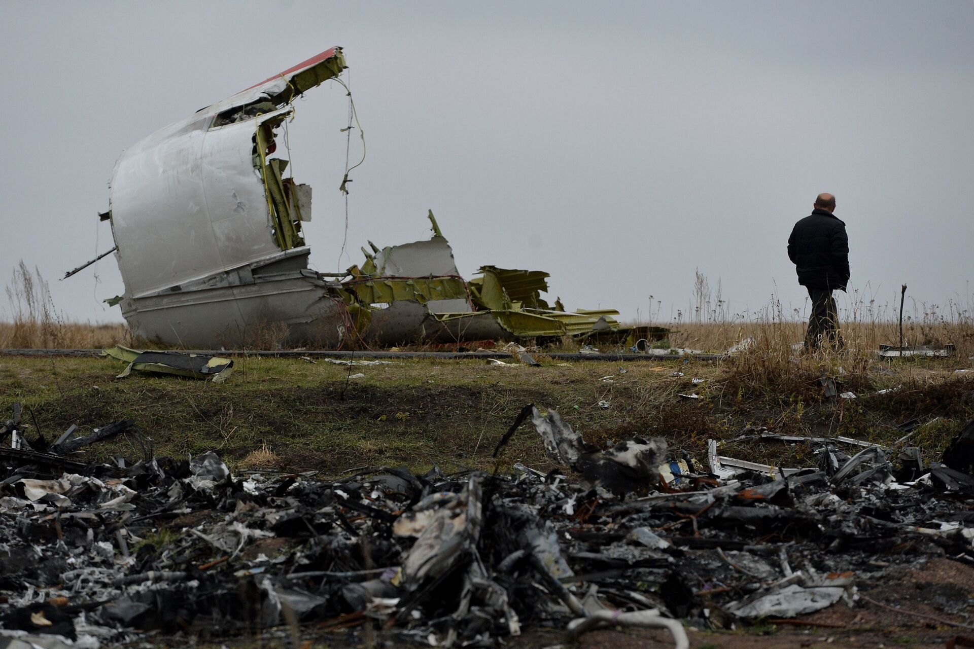 Người đàn ông đứng gần đống mảnh vỡ tại nơi xảy ra vụ tai nạn rơi máy bay Boeing MH17 của Malaysia từ Amsterdam đến Kuala Lumpur. - Sputnik Việt Nam, 1920, 26.01.2022