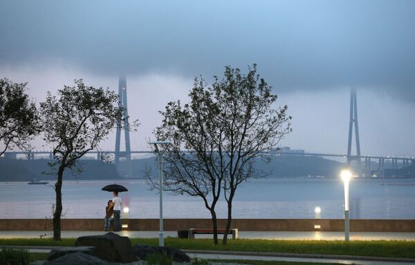 Cây cầu trên Đảo Nga, Vladivostok - Sputnik Việt Nam