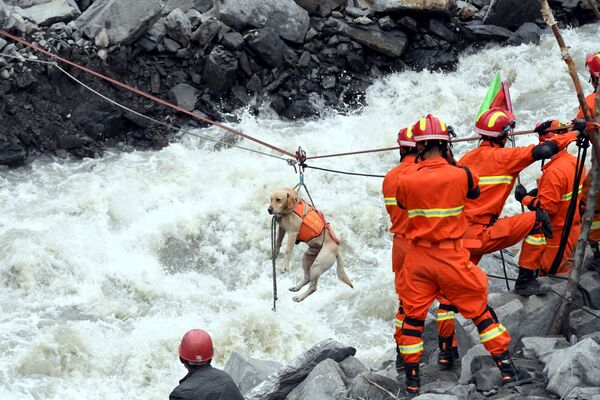 Lực lượng cứu hộ sơ tán một con chó trong vụ lở đất ở tỉnh Tứ Xuyên, Trung Quốc - Sputnik Việt Nam