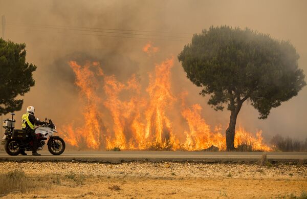 Cảnh sát quan sát đám cháy rừng, miền Nam Tây Ban Nha - Sputnik Việt Nam