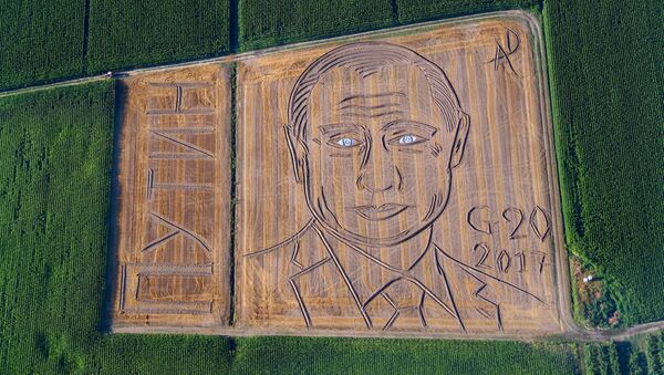 Гигантский портрет президента России Владимира Путина на поле в Кастаньяро, недалеко от северного итальянского города Верона - Sputnik Việt Nam