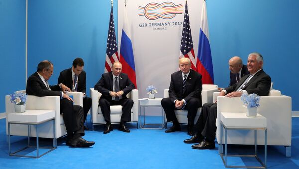 Президент РФ В. Путин принимает участие в саммите Группы двадцати в Гамбурге - Sputnik Việt Nam