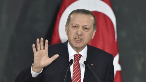 Tổng thống Thổ Nhĩ Kỳ Recep Tayyip Erdogan  - Sputnik Việt Nam
