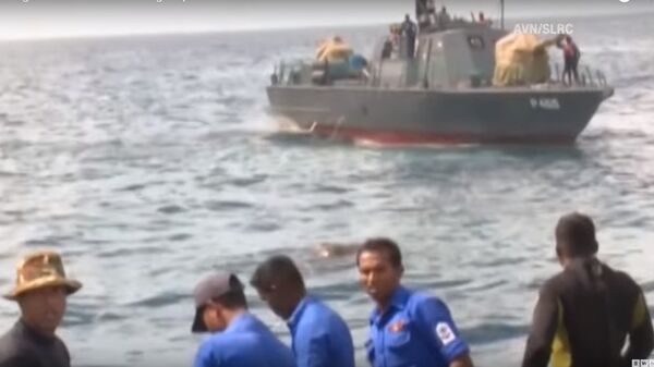 Hải quân Sri Lanka giải cứu con voi bị trôi ra biển - Sputnik Việt Nam