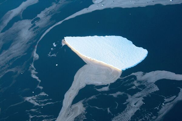 Tảng băng ở Biển Lazarev trên bờ biển Nam Cực - Sputnik Việt Nam