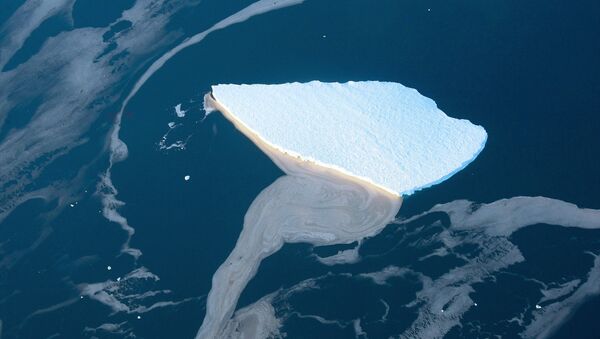 Tảng băng ở Biển Lazarev trên bờ biển Nam Cực - Sputnik Việt Nam