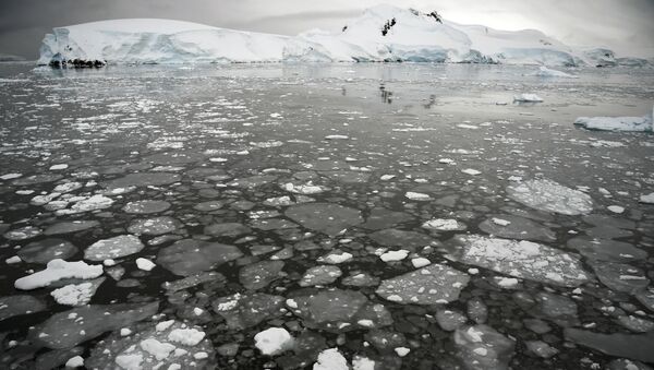 Tảng băng vỡ trên mặt biển ở bán đảo Nam Cực. - Sputnik Việt Nam