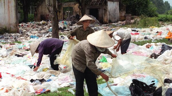 Thu thập túi nhựa trong đô thị bán cho nhà máy chế biến nhựa, Việt Nam - Sputnik Việt Nam