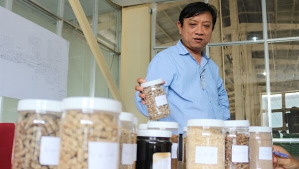 Một số loại thức ăn gia súc chế biến từ phụ phẩm nông nghiệp của VietFarm. - Sputnik Việt Nam