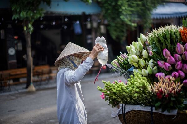 Chợ hoa Hà Nội - Sputnik Việt Nam
