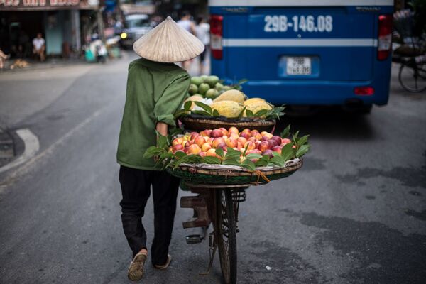 Người bán trái cây, Hà Nội, Việt Nam - Sputnik Việt Nam