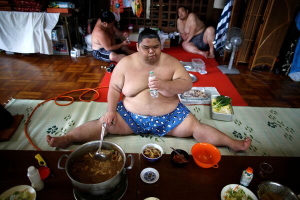 Nhật Bản, Nagoya.Các đô vật sumo đang ăn tối - Sputnik Việt Nam