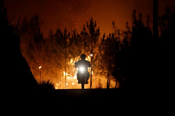 Bồ Đào Nha. Nhân viên cứu hỏa phải tự cứu mình khỏi đám cháy rừng ... - Sputnik Việt Nam