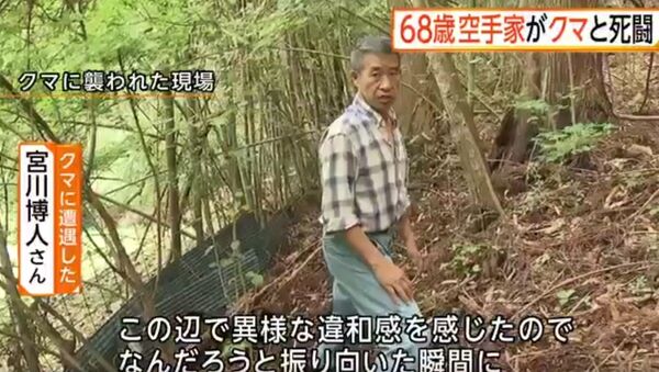 Người đàn ông trung niên Nhật Bản dùng võ karate vật lộn thoát khỏi gấu tấn công - Sputnik Việt Nam