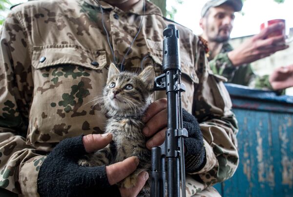 Donetsk. Con mèo trên tay tình nguyện viên Donbass... - Sputnik Việt Nam