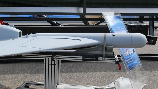 UAV Harpy được trưng bày tại Triển lãm Paris Air Show 2007 - Sputnik Việt Nam