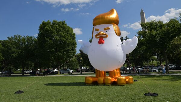 Con gà bơm hơi khổng lồ với mái tóc Trump cạnh Nhà Trắng - Sputnik Việt Nam