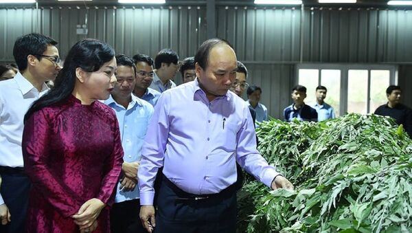 Bộ trưởng Bộ Y tế cùng Thủ Tướng Nguyễn Xuân Phúc - Sputnik Việt Nam
