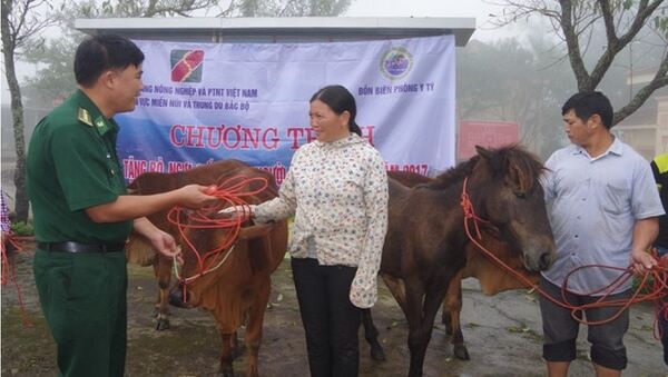 Lãnh đạo Đồn Biên phòng Y Tý trao tặng bò cho gia đình chị Phàn Lở Mẩy, thôn Ngải Chồ, xã A Lù - Sputnik Việt Nam