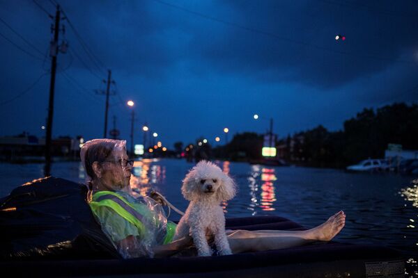 Mỹ. Houston. Một  người phụ nữ lớn tuổi và con chó nhỏ đang chờ di tản sau cơn bão Harvey. - Sputnik Việt Nam