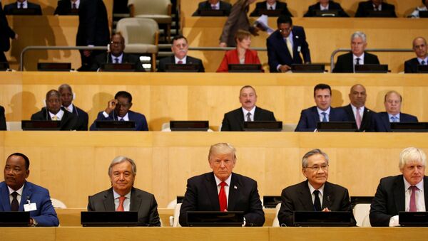 Trump tại Liên Hợp Quốc - Sputnik Việt Nam