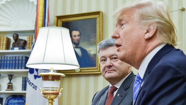 Tổng thống Mỹ Donald Trump đã tổ chức một cuộc họp với Tổng thống Ukraina Piotr Poroshenko. - Sputnik Việt Nam