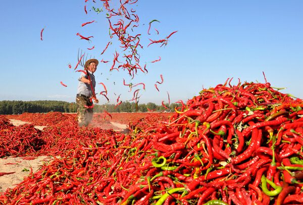Phơi ớt đỏ ở làng Zhangye, Trung Quốc - Sputnik Việt Nam