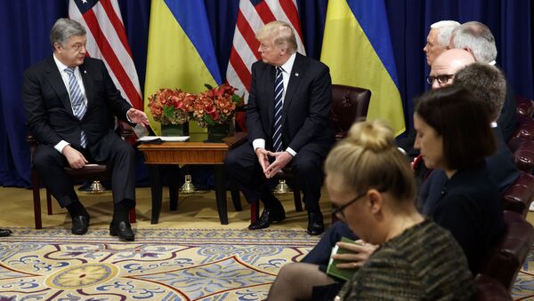 Tổng thống Hoa Kỳ Donald Trump và Tổng thống Ukraina Piotr Poroshenko - Sputnik Việt Nam