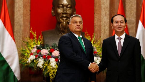 Chủ tịch nước Trần Đại Quang tiếp Thủ tướng Hungary Orbán Viktor đến chào xã giao - Sputnik Việt Nam