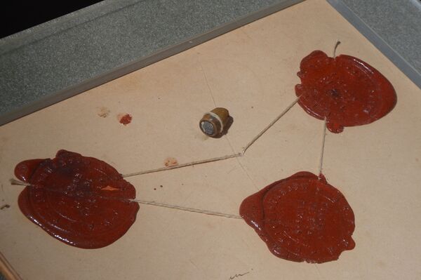 Viên đạn lấy ra từ thân thể V.I. Lenin sau vụ ám sát năm 1918 - Sputnik Việt Nam