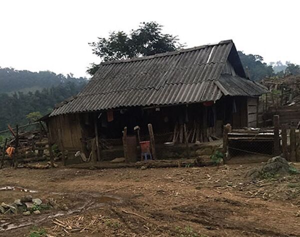 Lán nương nơi tử tù Nguyễn Văn Tình ẩn náu. Lán nương nơi tử tù Nguyễn Văn Tình ẩn náu. - Sputnik Việt Nam