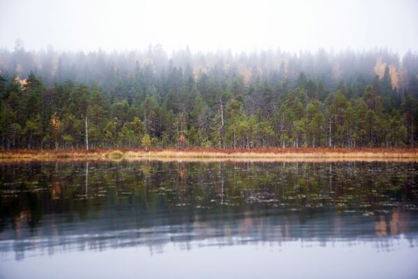 Nga. Hồ trên nền rừng thu ở Karelia. - Sputnik Việt Nam