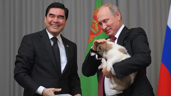 Tổng thống Turkmenistan tặng Tổng thống Putin con chó Alabai - Sputnik Việt Nam