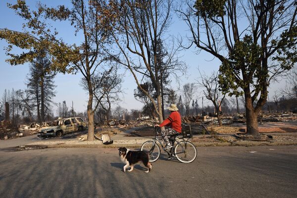 Cư dân địa phương giữa những con phố bị thiêu hủi do cháy rừng ở Santa Rosa, California, Hoa Kỳ - Sputnik Việt Nam
