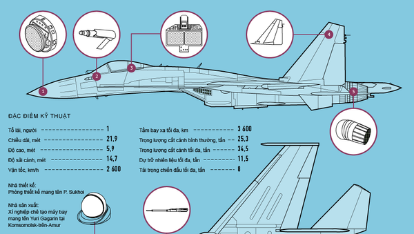Chiến đấu cơ Su-35S - Sputnik Việt Nam