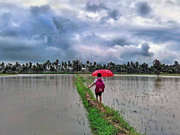 Ảnh Hành trình đến trường (Journey to school) do nhiếp ảnh gia Anindya Phani chụp ở Nam Bengal. - Sputnik Việt Nam
