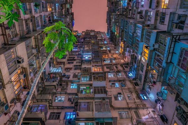 Bức ảnh “Chúng ta cần màu xanh” (We need green) của nhiếp ảnh gia Huỳnh Thu lưu ý rằng mọi người đang sống trong không gian hạn hẹp của Hồng Kông cũng cần nhớ về thiên nhiên. - Sputnik Việt Nam