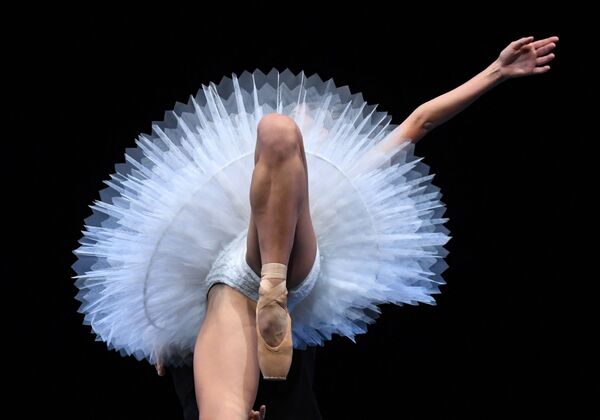 Tiết mục ballet opera Dresden trong buổi tập trước khi công diễn ở New York - Sputnik Việt Nam