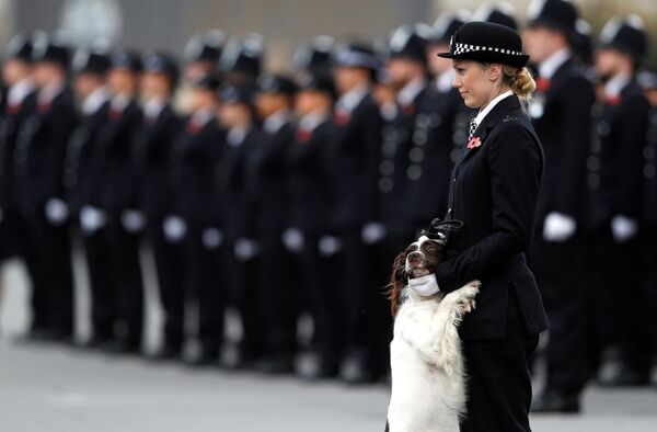 Viên sĩ quan cảnh sát với con chó nghiệp vụ trong cuộc diễu hành tại London - Sputnik Việt Nam