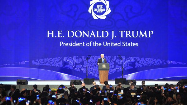 Tổng thống Hoa Kỳ Donald Trump phát biểu tại Hội nghị Thượng đỉnh Doanh nghiệp APEC 2017 - Sputnik Việt Nam