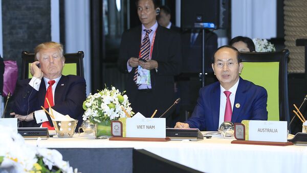 Chủ tịch nước Trần Đại Quang chủ trì buổi ăn trưa làm việc của các Nhà lãnh đạo Kinh tế APEC - Sputnik Việt Nam