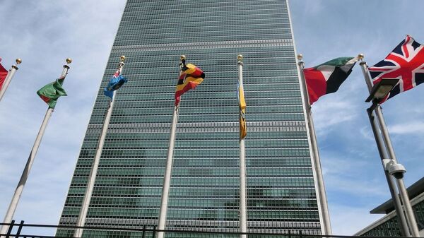 Здание ООН в Нью-Йорке - Sputnik Việt Nam