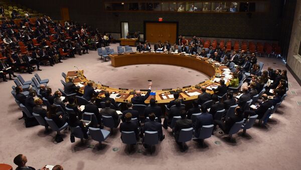 Заседание Совбеза ООН по вопросам химической атаки в Сирии - Sputnik Việt Nam