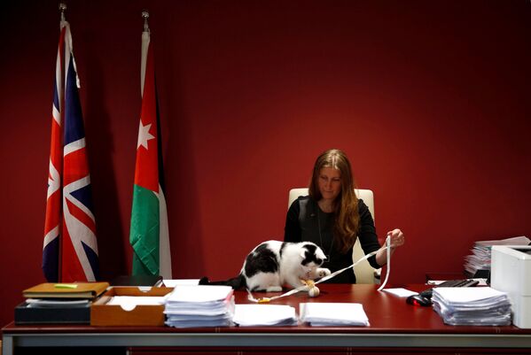 Phó Đại sứ Anh tại Jordan Laura Dauban và con mèo chính thức được bổ nhiệm phục vụ tại đại sứ quán. - Sputnik Việt Nam
