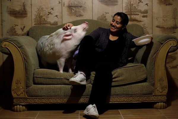 Yissel Mendoza và con lợn của cô có tên Balu tại tư gia, thành phố Ciudad Juarez, Mexico - Sputnik Việt Nam