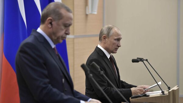  Vladimir Putin và Recep Tayyip Erdogan - Sputnik Việt Nam