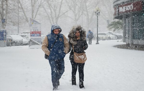 Tháng Một. Nga. Ngay cả vùng cận nhiệt đới Sochi cũng bao phủ tuyết và đón nhận những trận bão tuyết. - Sputnik Việt Nam